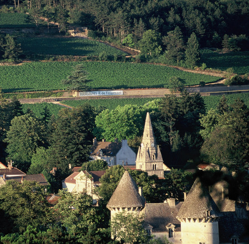 Domaine Pavelot