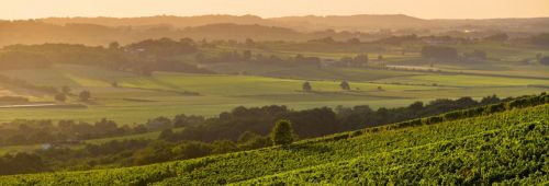 Domaine Labranche Laffont