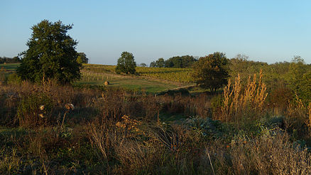 Château du Tuquet