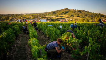 Domaine de Saint-Pierre