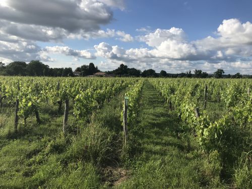 Château Cazebonne