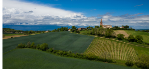  Domaine Plaisance Penavayre