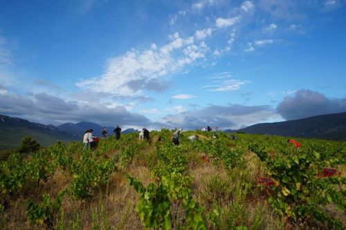 Domaine Benastra 